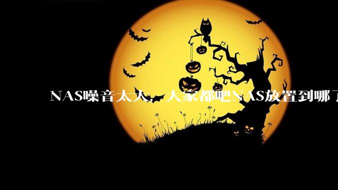 NAS噪音太大，大家都吧NAS放置到哪了？