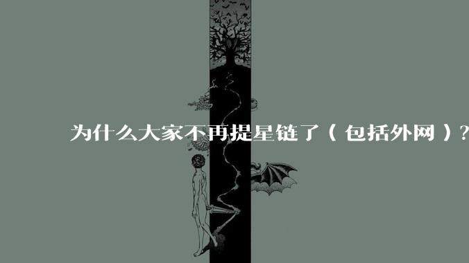 为什么大家不再提星链了（包括外网）？